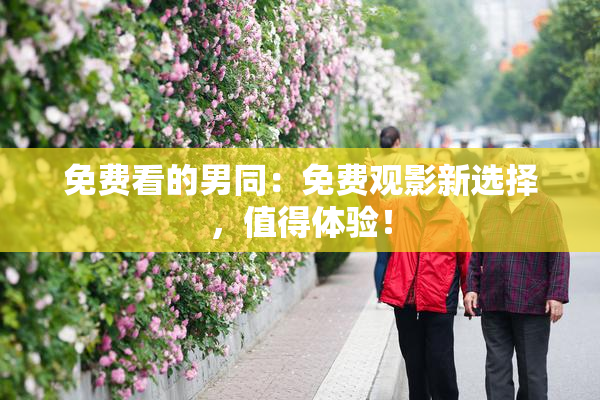 免费看的男同：免费观影新选择，值得体验！