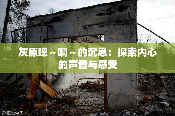 灰原嗯～啊～的沉思：探索内心的声音与感受