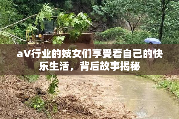 aV行业的妓女们享受着自己的快乐生活，背后故事揭秘