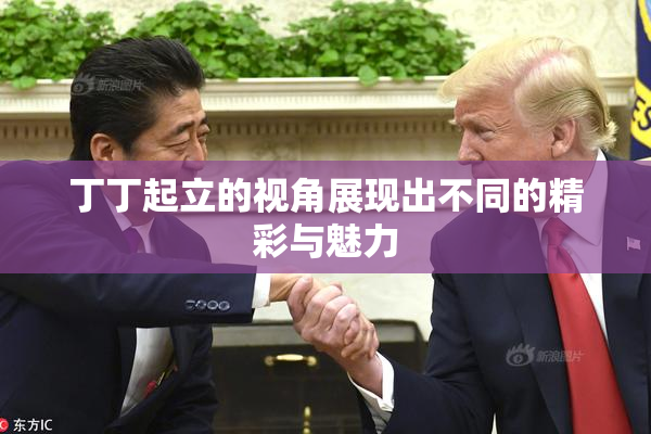 丁丁起立的视角展现出不同的精彩与魅力