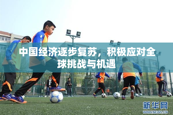 中国经济逐步复苏，积极应对全球挑战与机遇