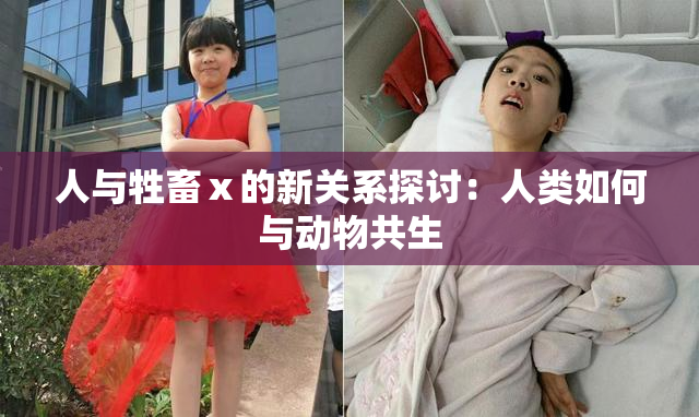 人与牲畜ⅹ的新关系探讨：人类如何与动物共生