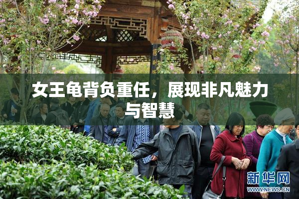 女王龟背负重任，展现非凡魅力与智慧