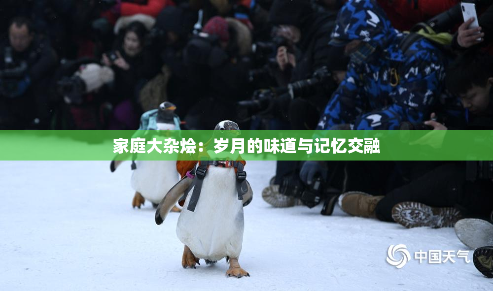 家庭大杂烩：岁月的味道与记忆交融