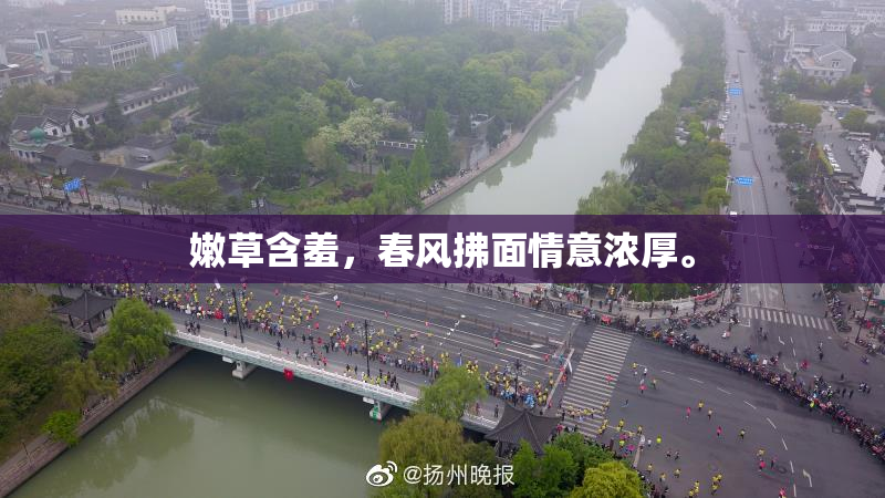 嫩草含羞，春风拂面情意浓厚。