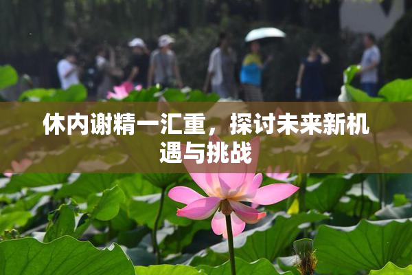 休内谢精一汇重，探讨未来新机遇与挑战
