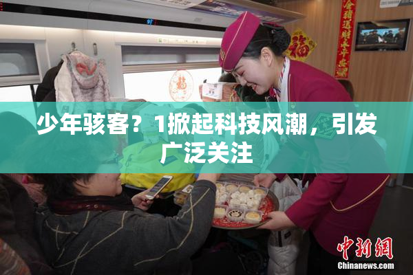 少年骇客？1掀起科技风潮，引发广泛关注