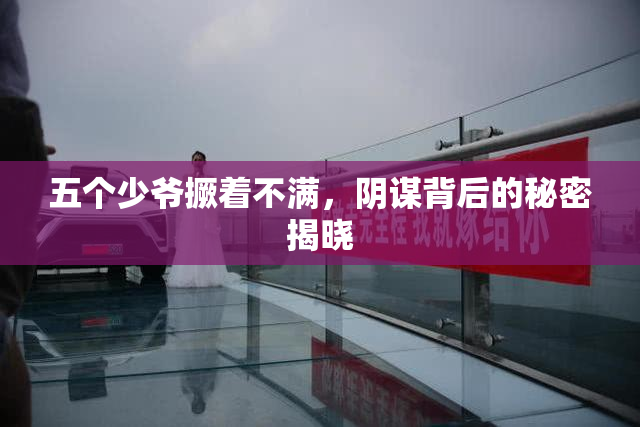 五个少爷撅着不满，阴谋背后的秘密揭晓