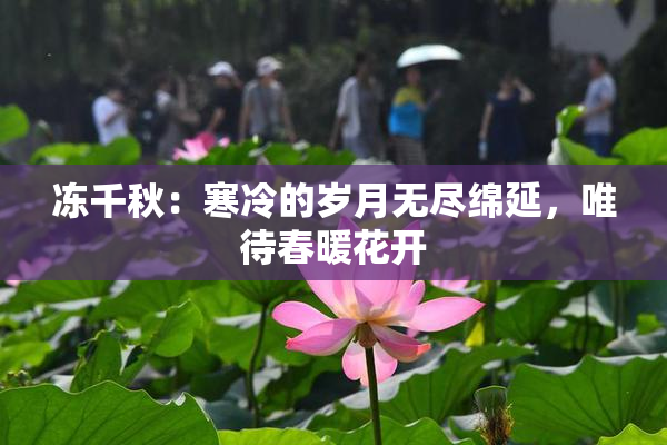 冻千秋：寒冷的岁月无尽绵延，唯待春暖花开