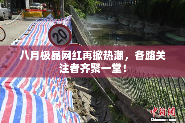 八月极品网红再掀热潮，各路关注者齐聚一堂！