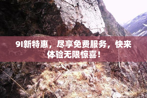 9I新特惠，尽享免费服务，快来体验无限惊喜！