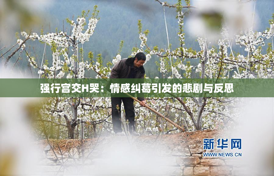 强行宫交H哭：情感纠葛引发的悲剧与反思