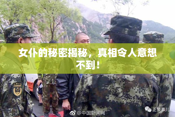 女仆的秘密揭秘，真相令人意想不到！