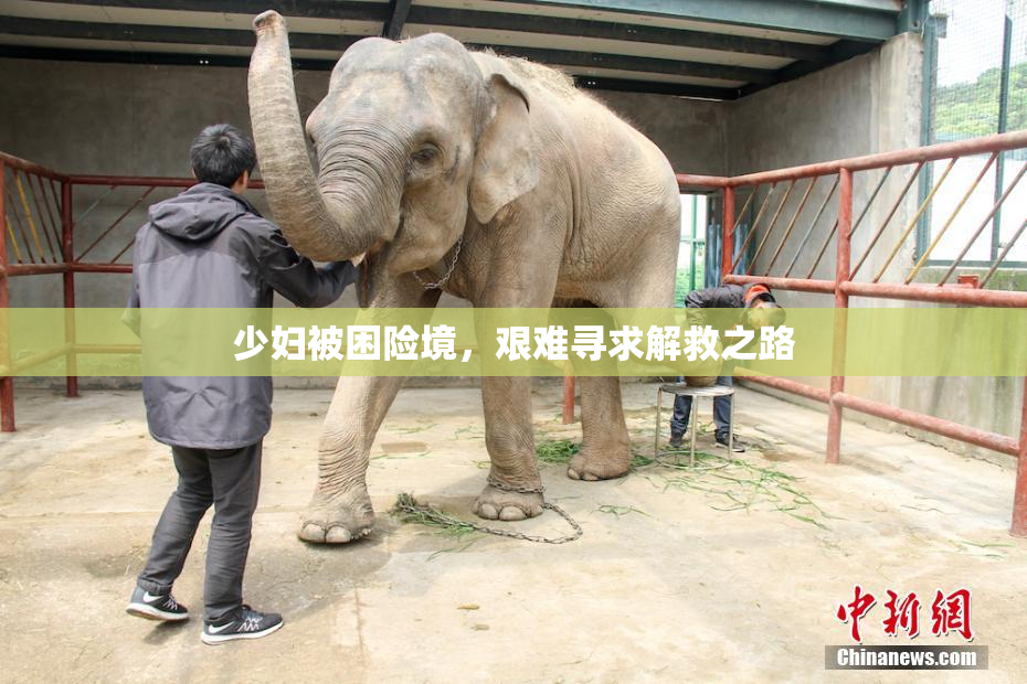 少妇被困险境，艰难寻求解救之路