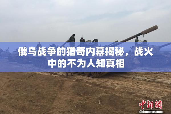 俄乌战争的猎奇内幕揭秘，战火中的不为人知真相