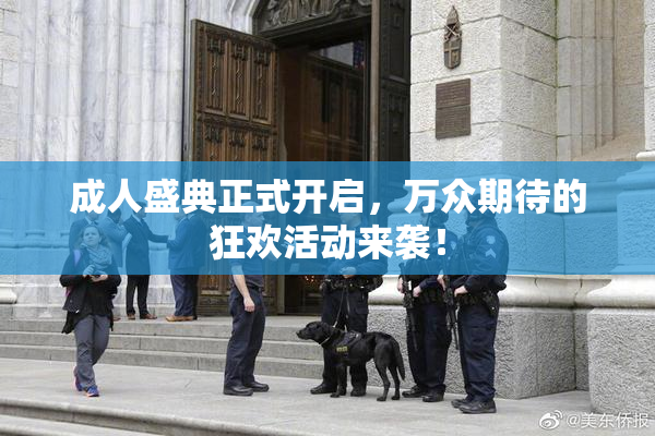 成人盛典正式开启，万众期待的狂欢活动来袭！