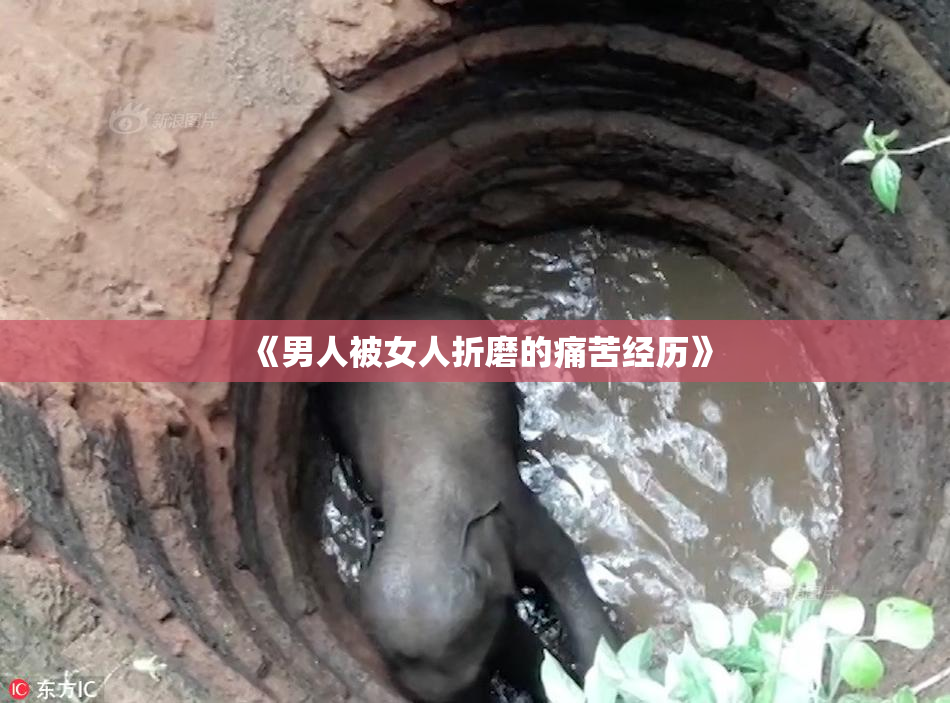 《男人被女人折磨的痛苦经历》