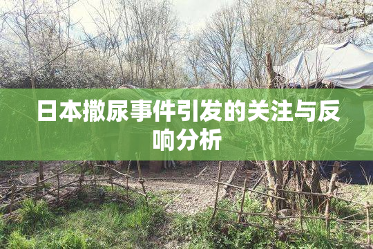 日本撒尿事件引发的关注与反响分析
