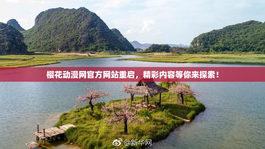 樱花动漫网官方网站重启，精彩内容等你来探索！