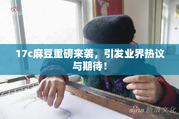17c麻豆重磅来袭，引发业界热议与期待！