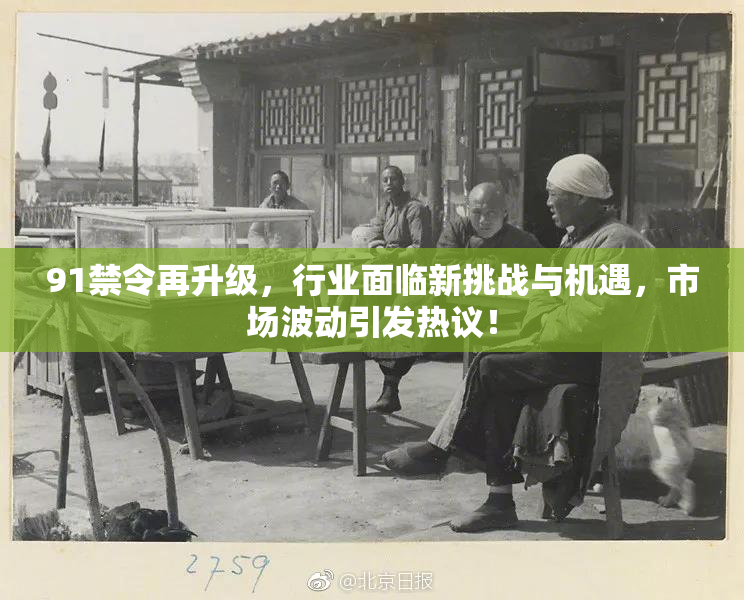 91禁令再升级，行业面临新挑战与机遇，市场波动引发热议！