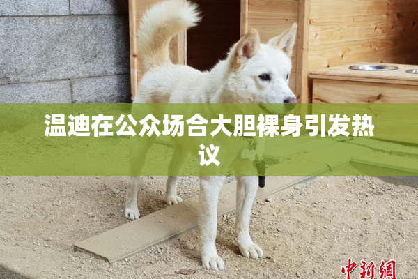 温迪在公众场合大胆裸身引发热议