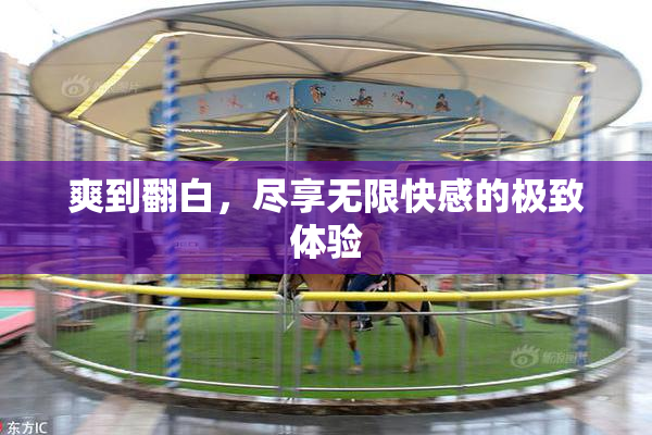 爽到翻白，尽享无限快感的极致体验