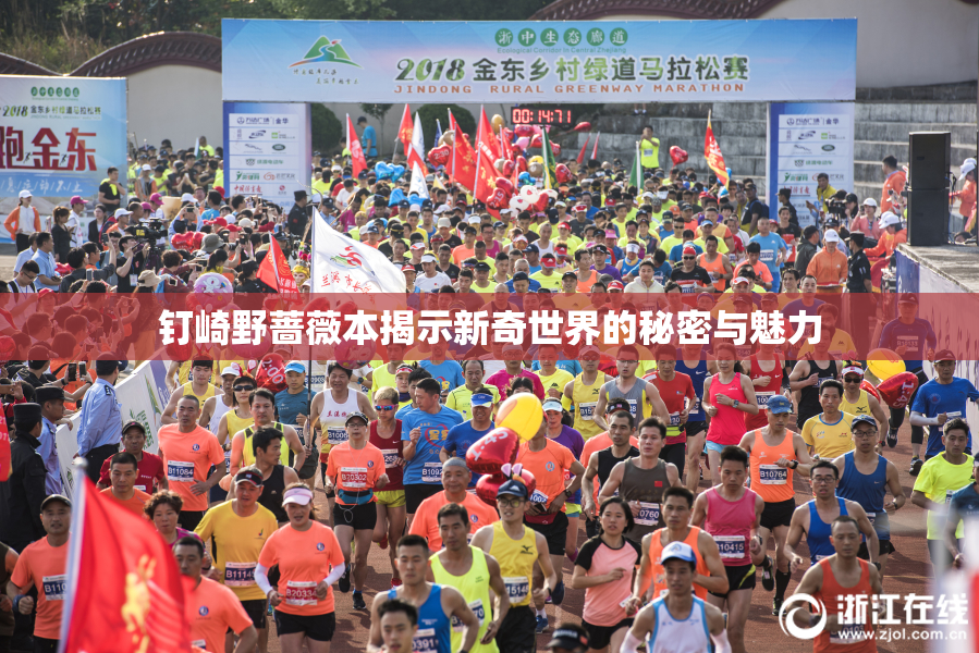 钉崎野蔷薇本揭示新奇世界的秘密与魅力