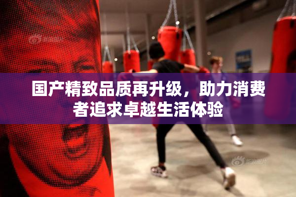 国产精致品质再升级，助力消费者追求卓越生活体验
