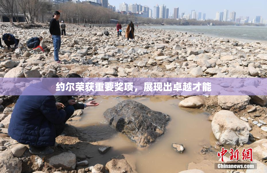 约尔荣获重要奖项，展现出卓越才能