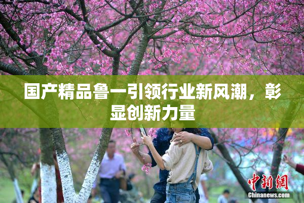 国产精品鲁一引领行业新风潮，彰显创新力量