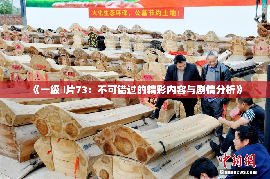 《一级婬片73：不可错过的精彩内容与剧情分析》