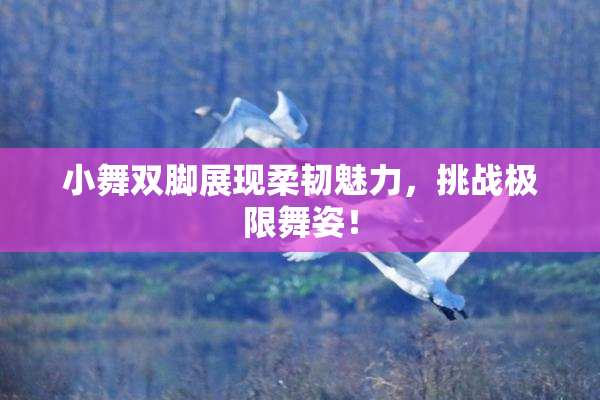小舞双脚展现柔韧魅力，挑战极限舞姿！