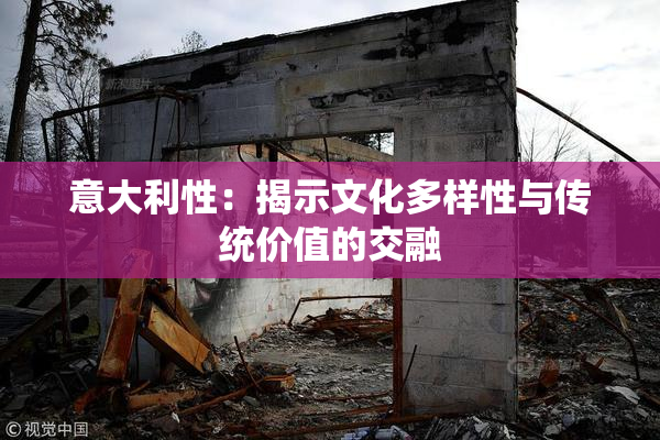 意大利性：揭示文化多样性与传统价值的交融