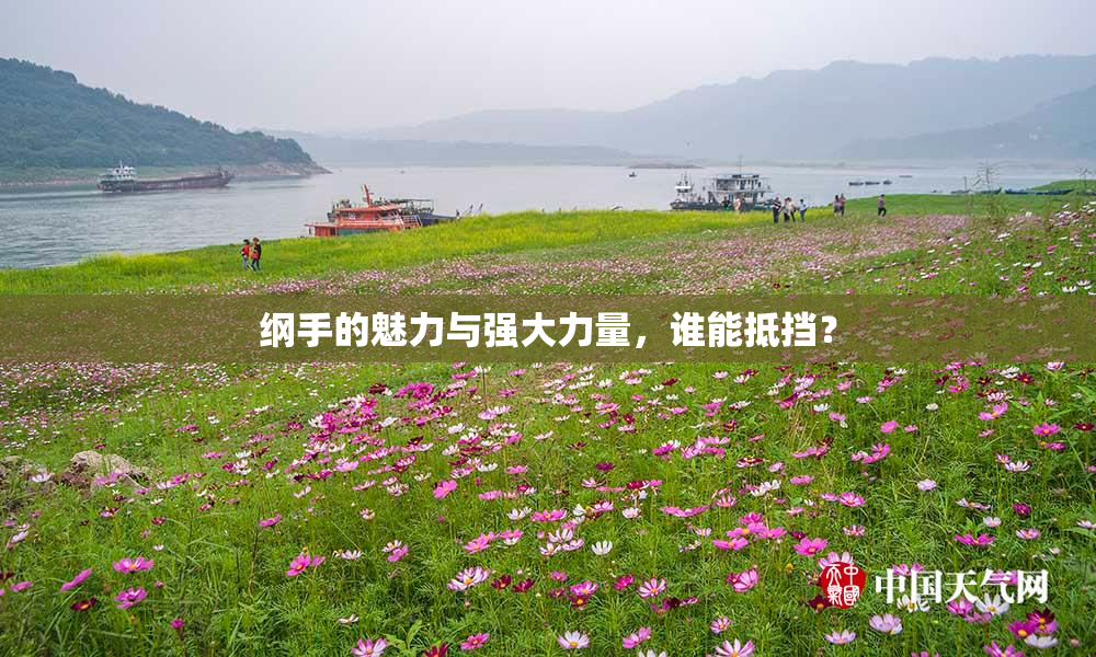 纲手的魅力与强大力量，谁能抵挡？
