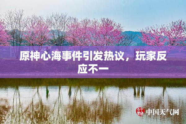 原神心海事件引发热议，玩家反应不一