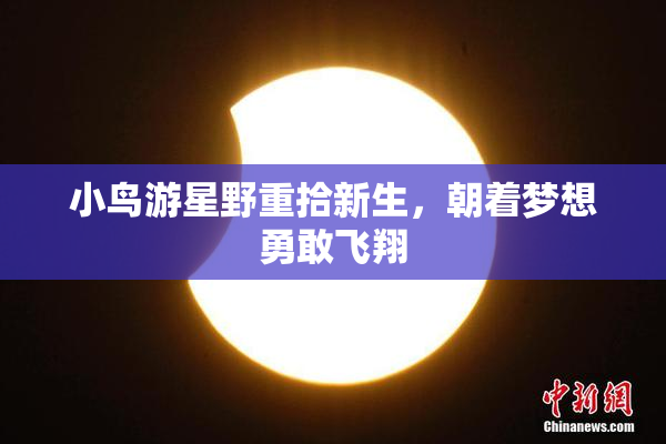 小鸟游星野重拾新生，朝着梦想勇敢飞翔