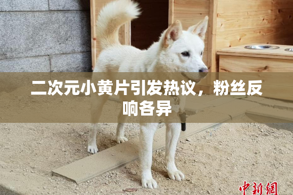 二次元小黄片引发热议，粉丝反响各异