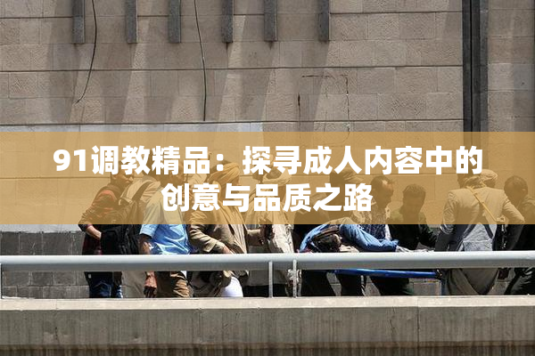 91调教精品：探寻成人内容中的创意与品质之路