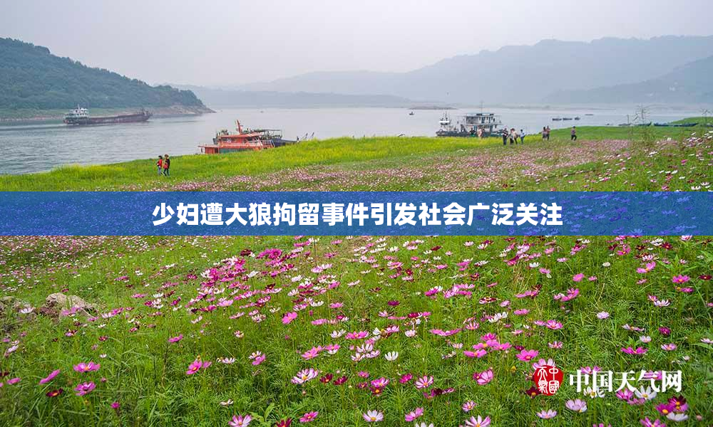 少妇遭大狼拘留事件引发社会广泛关注