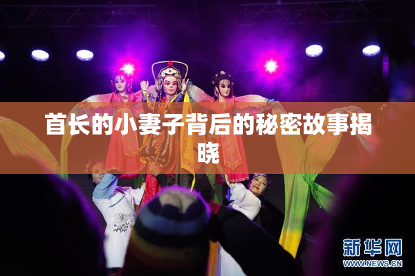 首长的小妻子背后的秘密故事揭晓