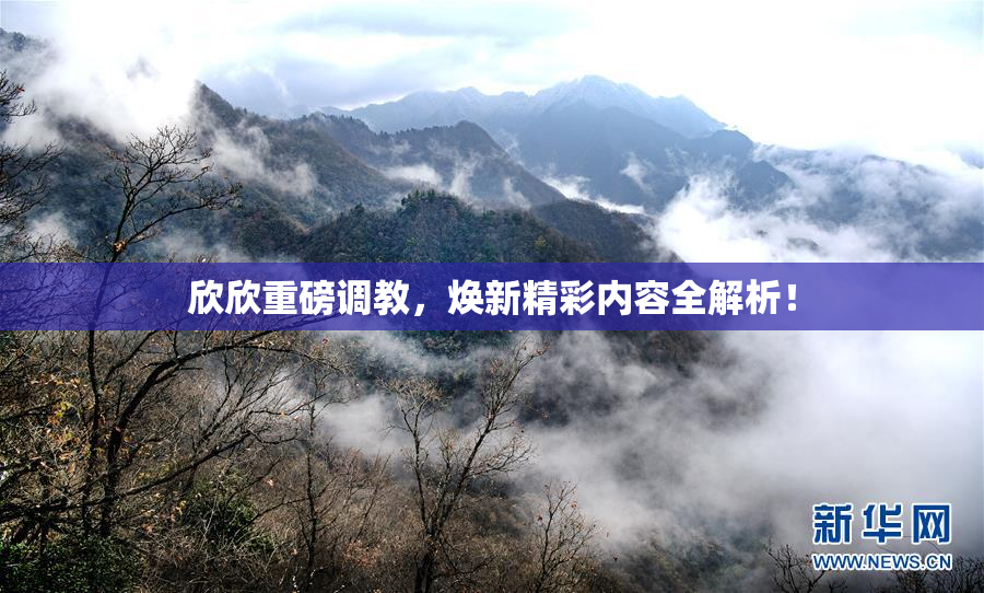 欣欣重磅调教，焕新精彩内容全解析！