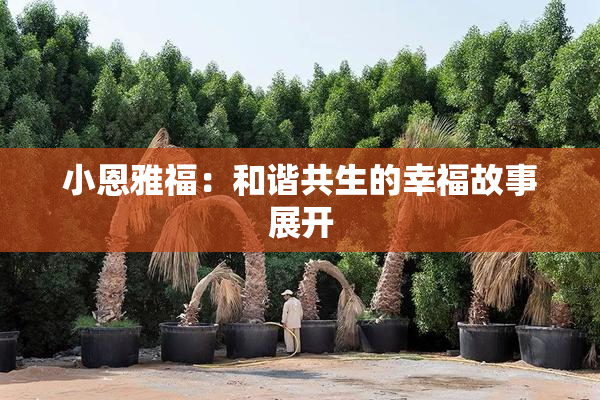 小恩雅福：和谐共生的幸福故事展开