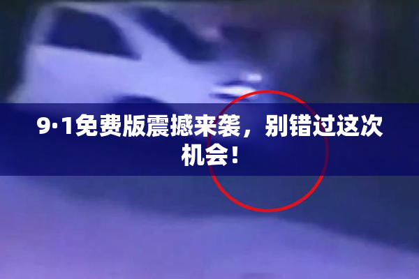 9·1免费版震撼来袭，别错过这次机会！
