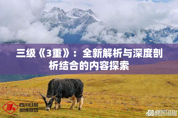 三级《3重》：全新解析与深度剖析结合的内容探索