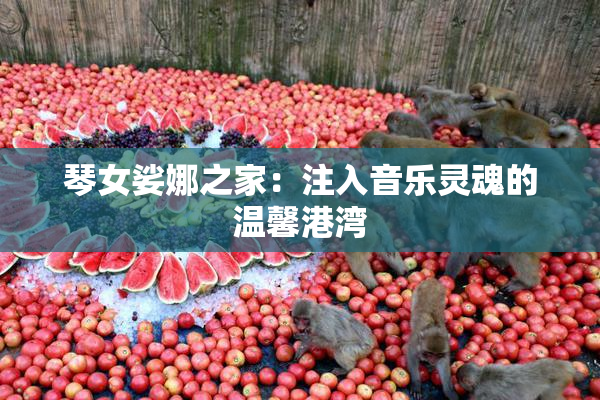 琴女娑娜之家：注入音乐灵魂的温馨港湾