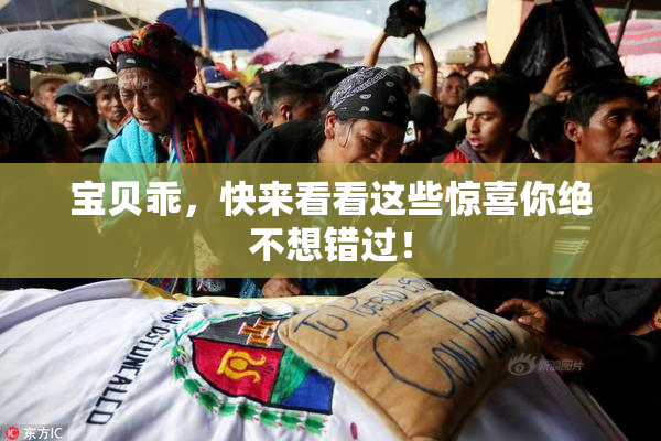 宝贝乖，快来看看这些惊喜你绝不想错过！