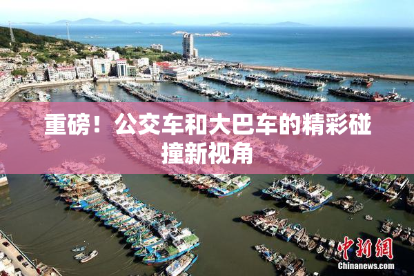 重磅！公交车和大巴车的精彩碰撞新视角