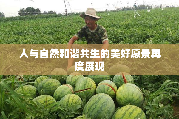 人与自然和谐共生的美好愿景再度展现