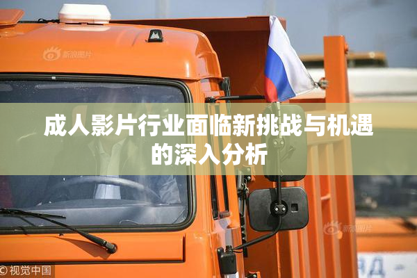 成人影片行业面临新挑战与机遇的深入分析